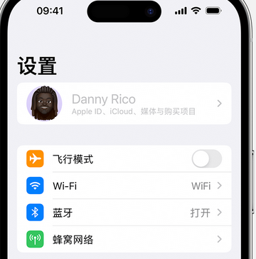 上栗appleID维修服务iPhone设置中Apple ID显示为灰色无法使用