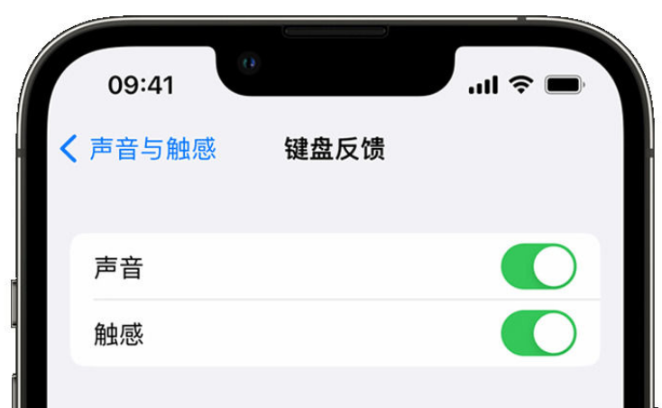 上栗苹果手机维修分享iPhone 14触感键盘使用方法 