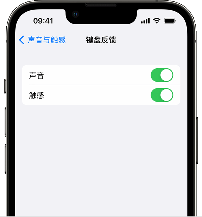 上栗苹果14维修店分享如何在 iPhone 14 机型中使用触感键盘 