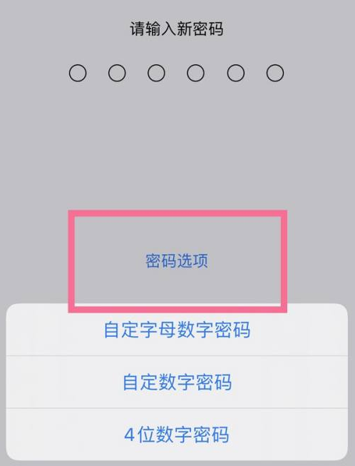 上栗苹果14维修分享iPhone 14plus设置密码的方法 