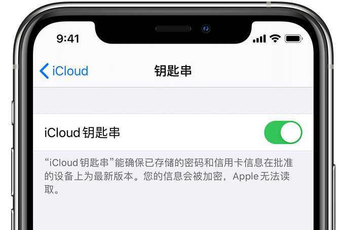 上栗苹果手机维修分享在 iPhone 上开启 iCloud 钥匙串之后会储存哪些信息 